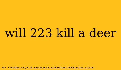 will 223 kill a deer