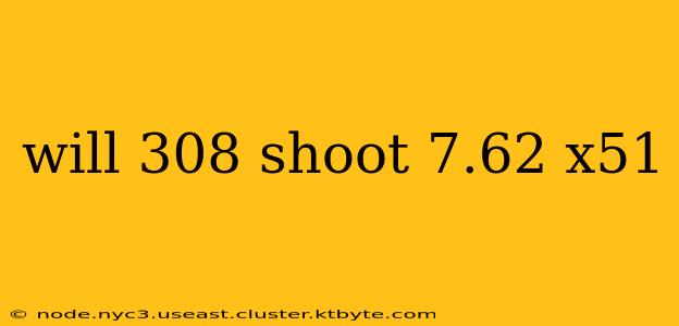 will 308 shoot 7.62 x51