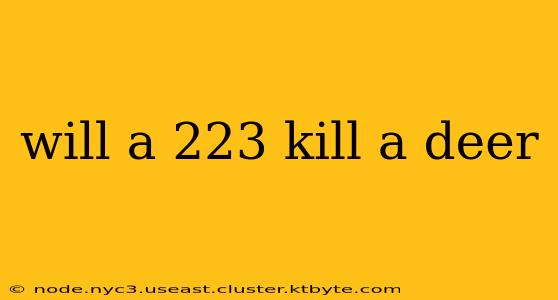 will a 223 kill a deer