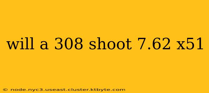 will a 308 shoot 7.62 x51