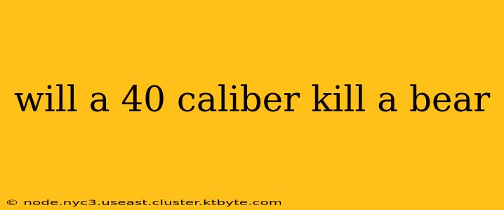 will a 40 caliber kill a bear