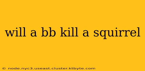 will a bb kill a squirrel