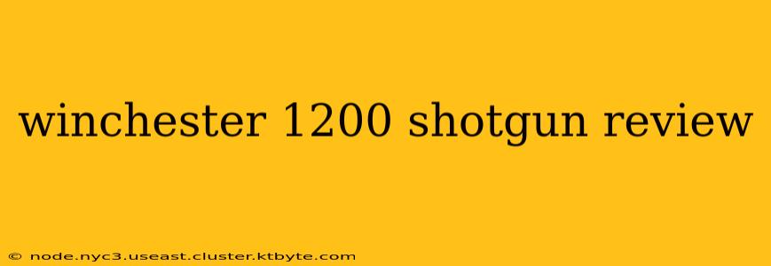 winchester 1200 shotgun review