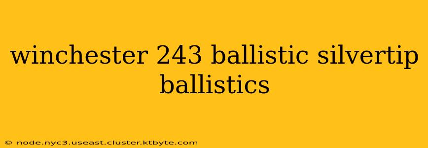 winchester 243 ballistic silvertip ballistics