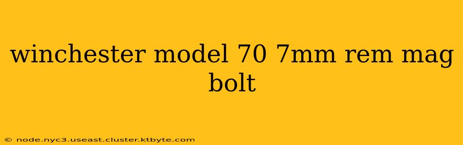 winchester model 70 7mm rem mag bolt