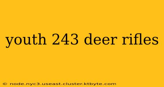 youth 243 deer rifles